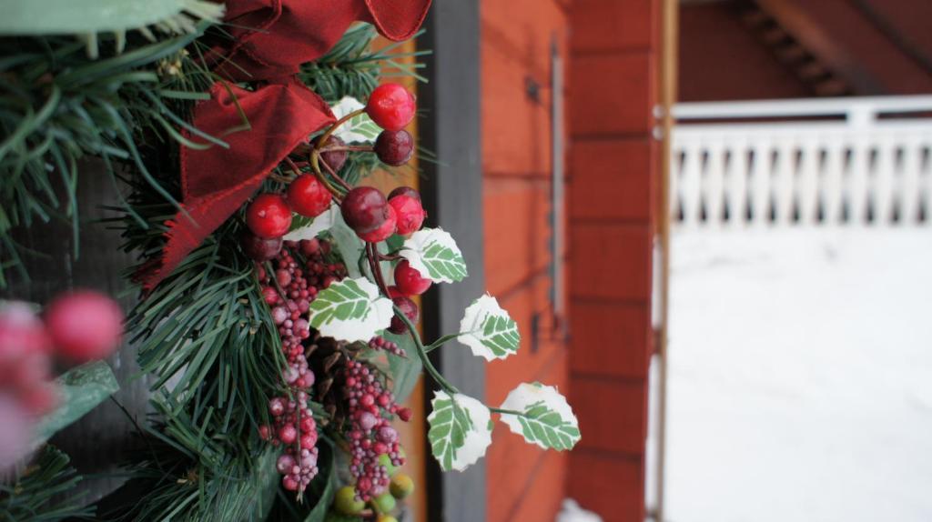 Mannflogarden Bed & Breakfast , Saelenfjaellen Екстер'єр фото